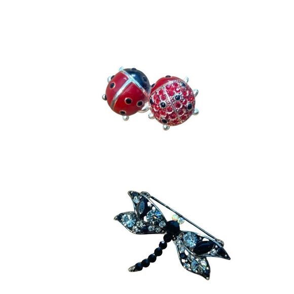 Lady bug & dragon broche’ - Picture 1 of 9